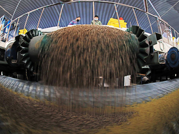 Όταν παράγεται 1 τόνος -20 τόνους ανά ώρα εξοπλισμός γρανάζιας παραγωγής οργανικών λιπασμάτων σε σκόνη