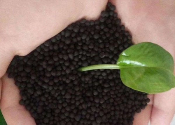 Γραμμή παραγωγής οργανικών λιπασμάτων για περιστέρια